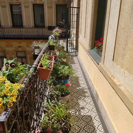 Homestay Congress Margit House
